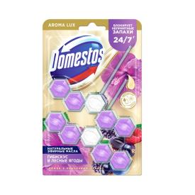 Блок для очищения унитаза Domestos 2х50 г Сказочный аромат